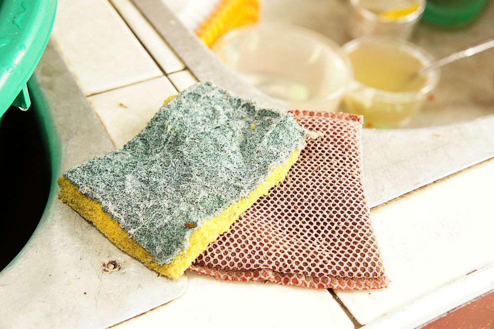 Dirty kitchen sponge